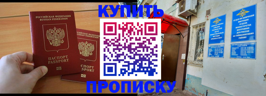 прописка штамп в Ивантеевке